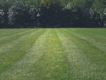 Photos by B&b Landscape Services #1