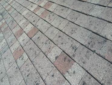 Photos by Top Notch Roofing & Remodeling #1