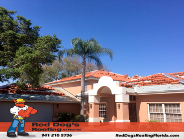 Photos by Red dog's Roofing of Florida #1