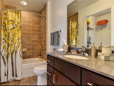 Bathroom Renovation