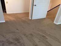 Photos from Carpet Floorida