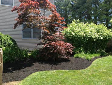 Photos from Clean Cut Services LLC