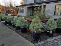 Photos by T Dent Landscape Services #1
