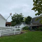 Photos by Gonzalez Tree Service Inc #4