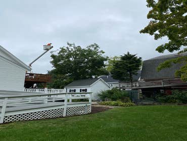 Photos by Gonzalez Tree Service Inc #4