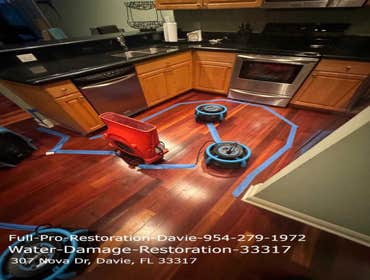 Photos by Full Pro Restoration Davie #1