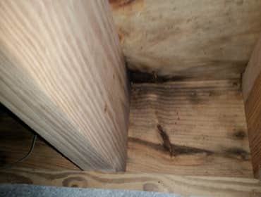 Water Infiltration