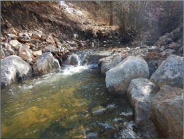 Photos by Frontier Enviromental Services #1