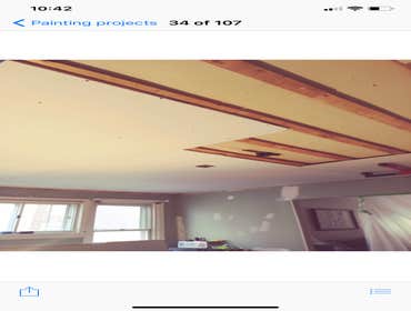 Photos by Silverback Painting Solutions #1