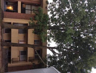 Tree Service South Jersey