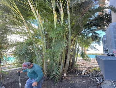Photos by Melkris Landscaping Svces Corp #4