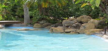 Dog Days Pools