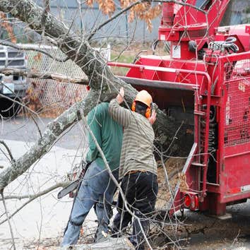 workers lifting tree in to the truck Rhode Island