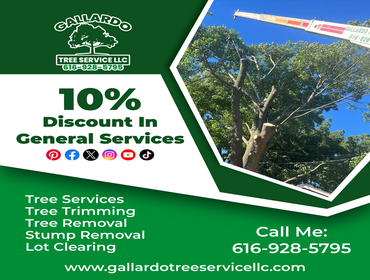 Photos by Gallardo Tree Service LLC #6
