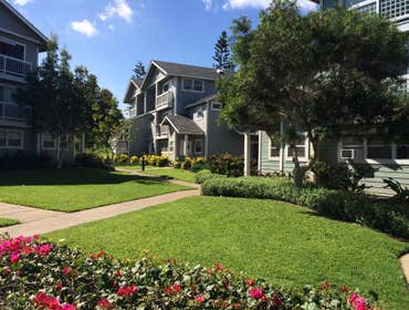 Condo Association Landscape & Irrigation Design-Build