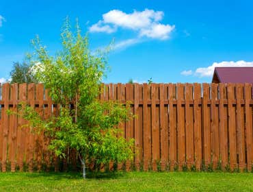 Fences