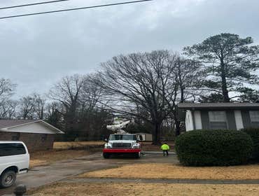 Photos by Rg Tree Services #8