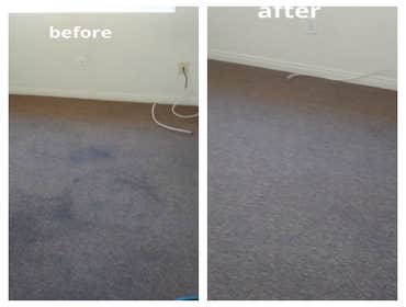 Photos from Five Star Carpet & Tile Care