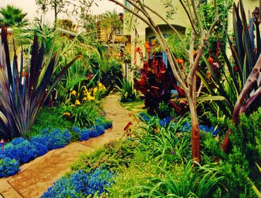Mike Garcia Dba Enviroscape Project