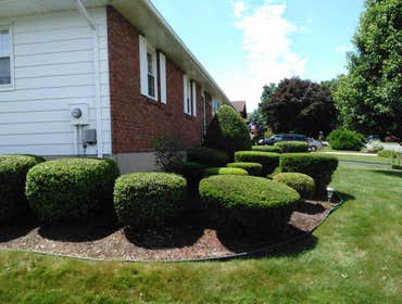 Photos from Powells Cutting Edge Landscaping