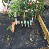 Photos from Growing Green Landscapes