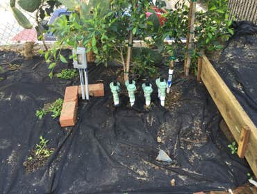 Photos from Growing Green Landscapes