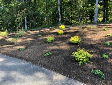 Photos by Solis Landscaping Services #1