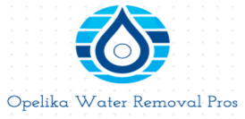 Opelika Water Removal Pros