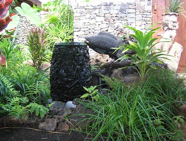 Photo(s) from Maxwell Design Group, Inc
