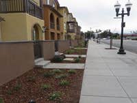 Photos by A Munoz Landscaping #1