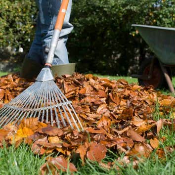 Joseph Lawncare