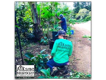 Aikane Landscaping & More