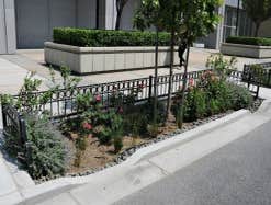 Photos by Landscape & Tree Company Inc #1