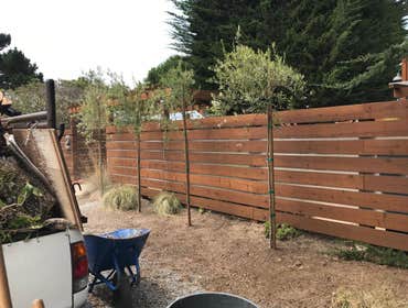 Photos by Francisco Landscaping & Gardening #2