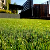 East Coast Lawn & Landscaping
