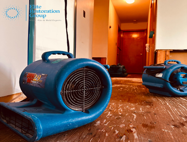 Photos by Elite Restoration Group #1 water damage restoration