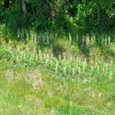 Tb Irrigation Project