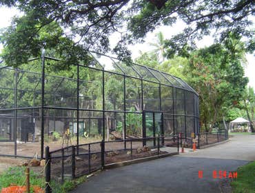 Fences