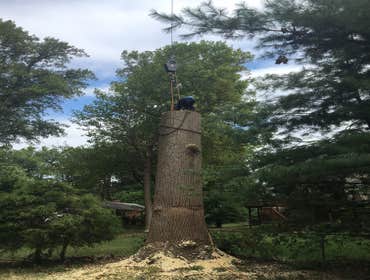 Photo(s) from Bonilla Tree Service Inc
