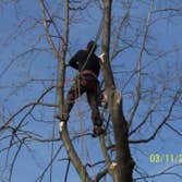 L.A. Tree Service Creative Corp