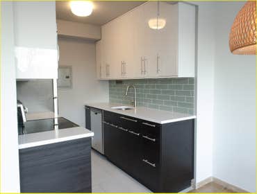 Modern Condo Kitchen