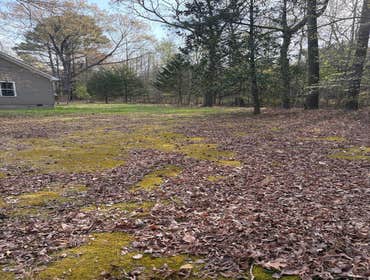 Photos by Beauty Meister Landscaping LLC #2