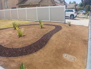 Photos by Cali Turf