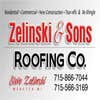 Steven Zelinski logo
