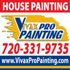 Vivax Pro Painting logo