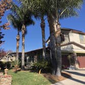 Ccl Trees Services