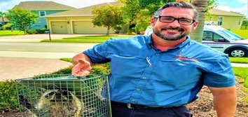 Photos by on Point Wildlife Removal #1