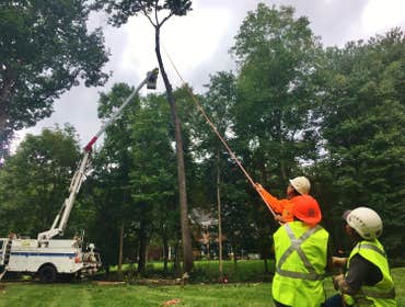Onsite with Upright