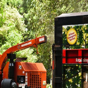 Photos by Danilo's Professional Tree Service & Landscaping #1