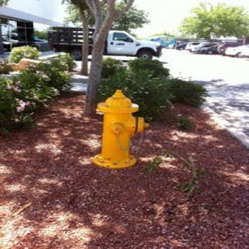 Fire Hydrant Repair Here are some samples of fire hydrants we have repaired in the Phoenix, Arizona area.